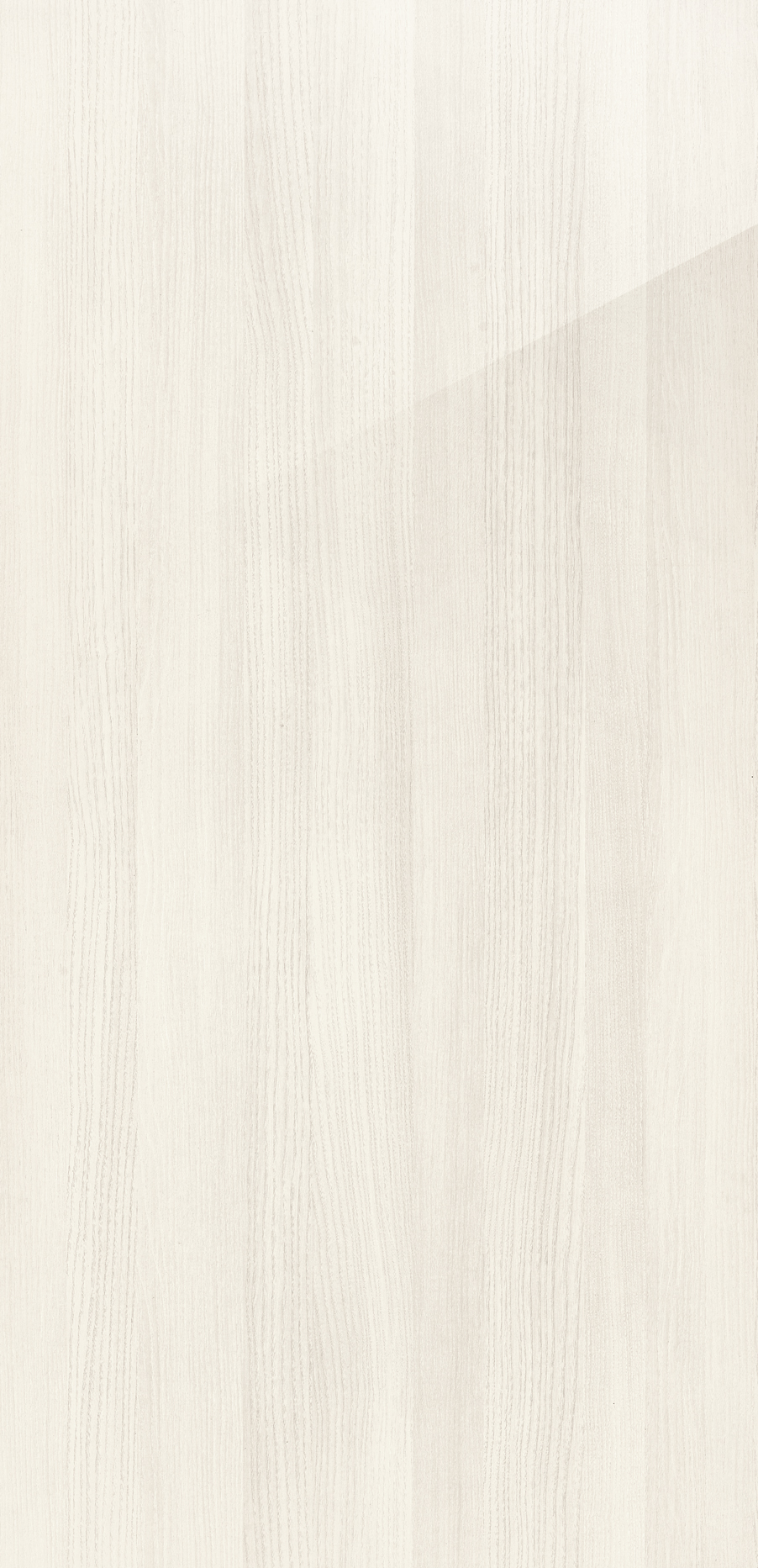 White Birch