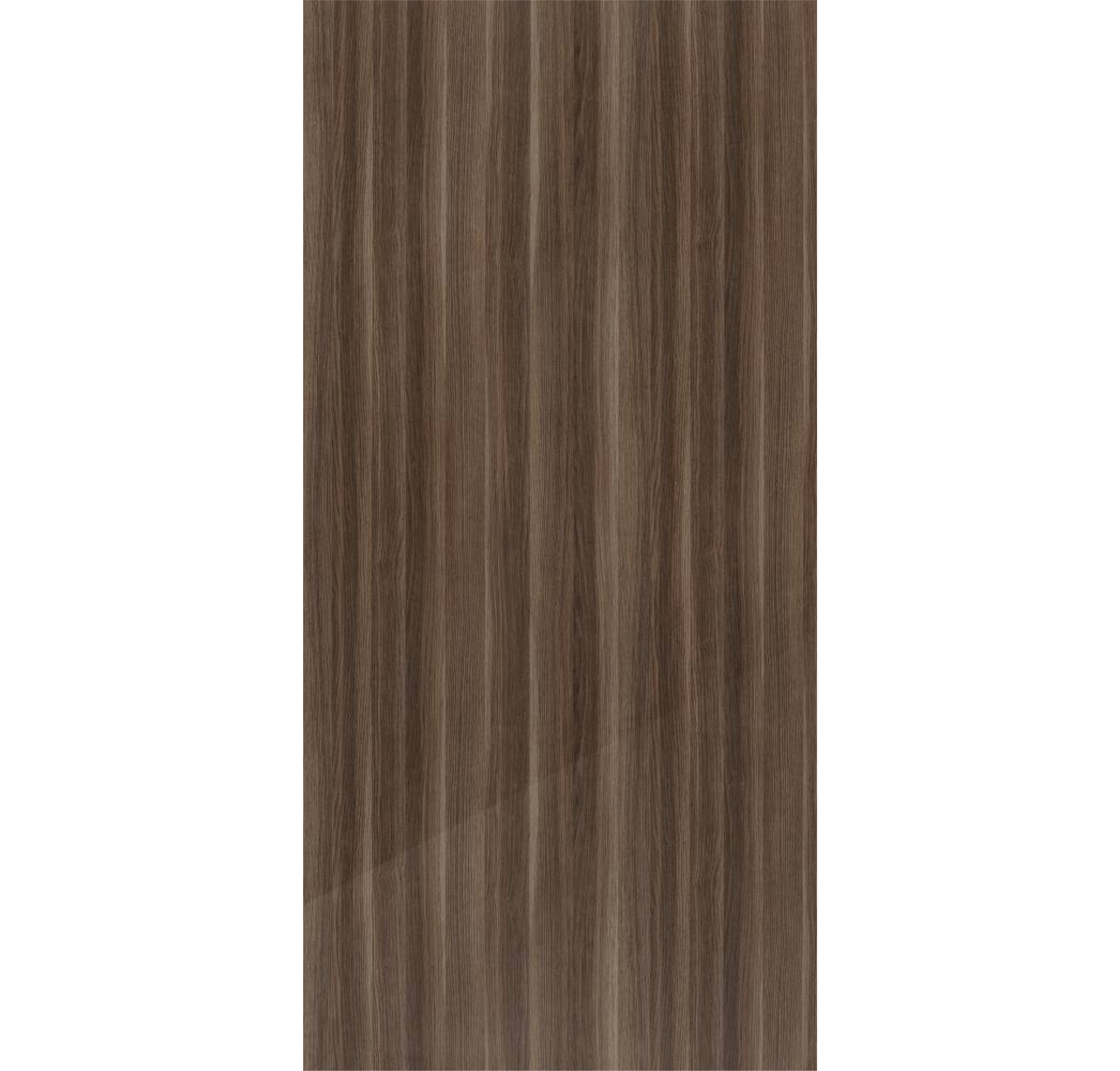 Alentejo Elm