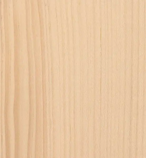 Eastern White Pine