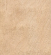 White Birch